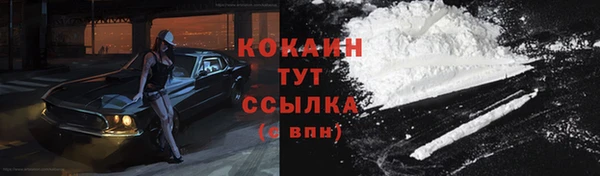 скорость Алзамай