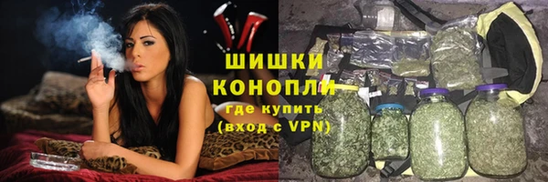 шишки Алексин